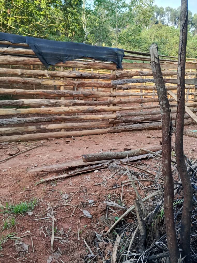 WCEAD community field activities in Uganda