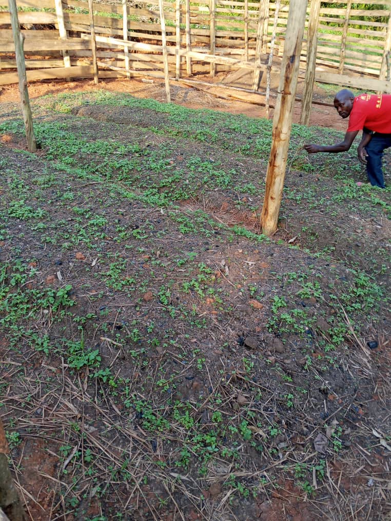 Landscape in Kitagwenda District, Uganda